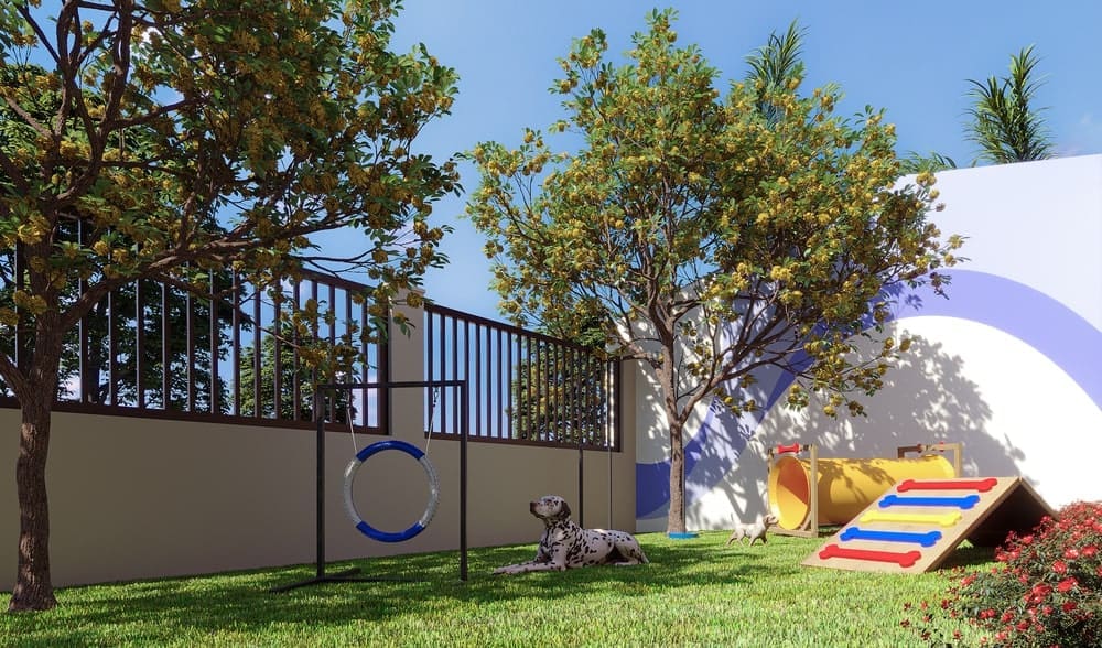 SQUAD-RDR ENGENHARIA-SOUL FONSCECA-IMG-PET-R03-min