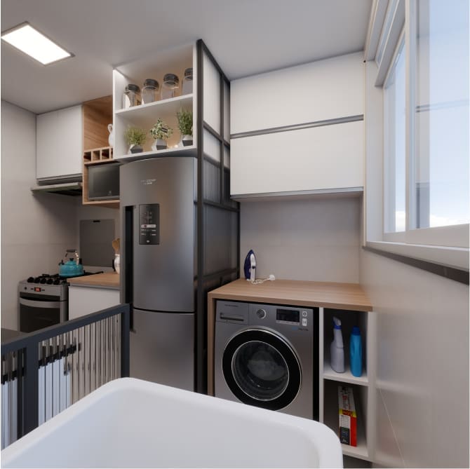 TIPO-LAVANDERIA-1920